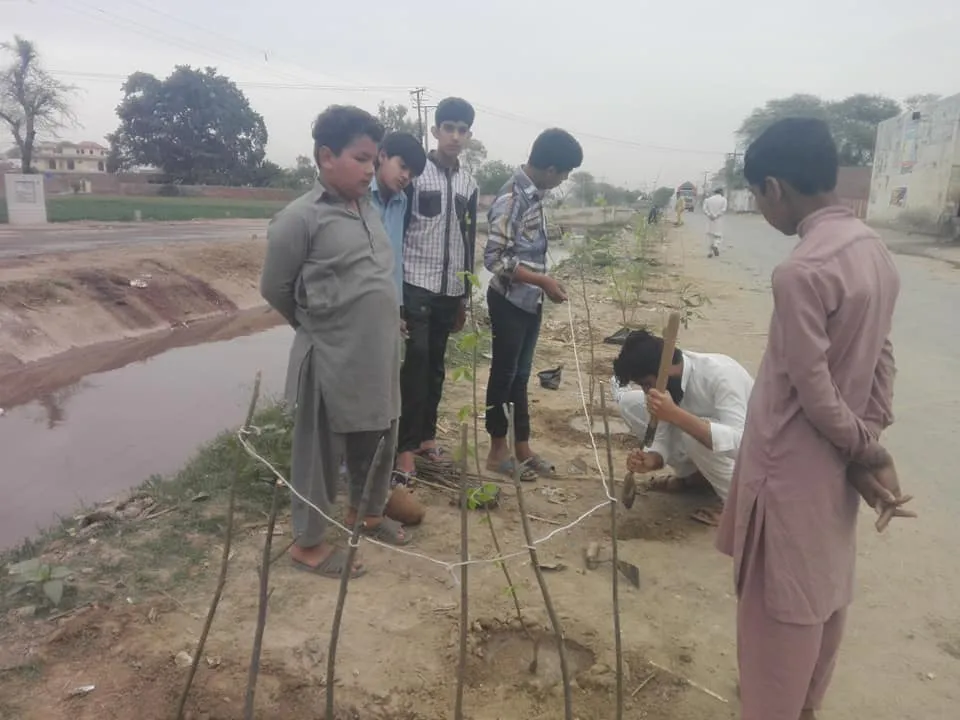 Green Seekers Activity